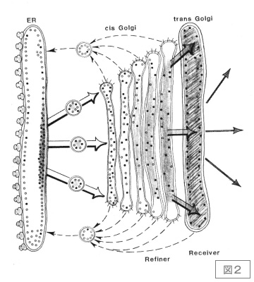 図２．Rothmanの蒸留塔モデル
